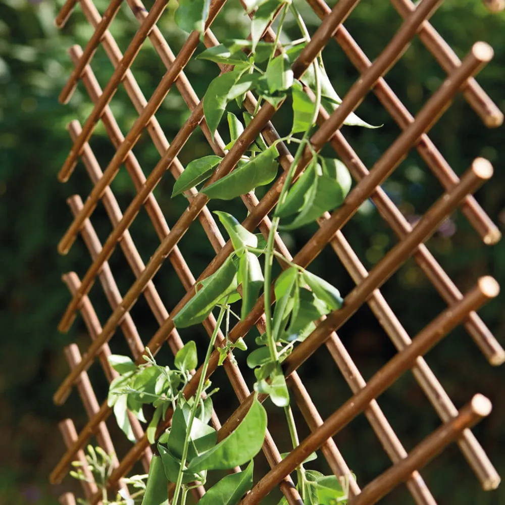 Celosí de Mimbre Sin procesar Willow Trellis - para Uso Agrícola Intensivo