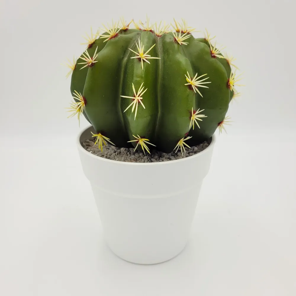 Cactus 21 cm con Sensor de Movimiento