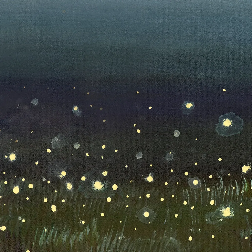 Firefly Field | Lona