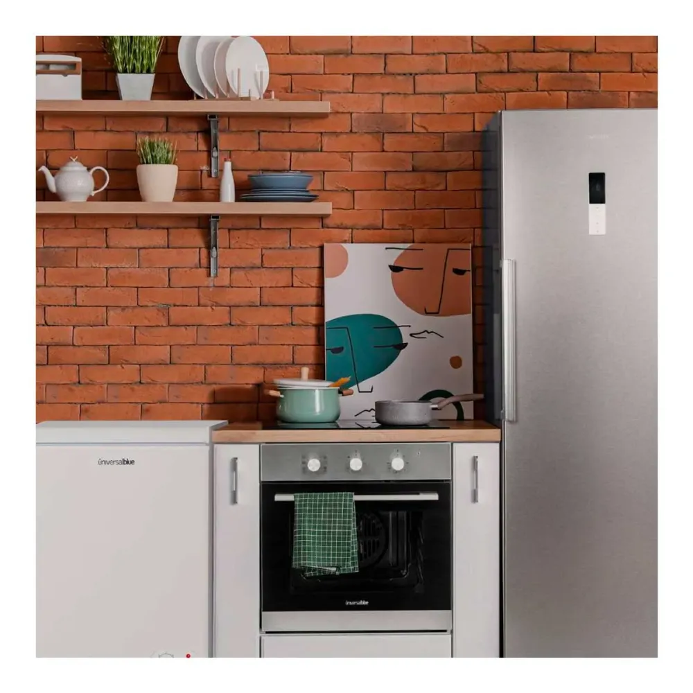 Congelador horizontal Neptuno 5008W Universal Azul 2 en 1 100L F blanco 55,2 cm