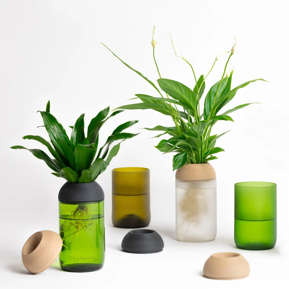 Plato de Drenaje Profundo Macetero Transparente Citysens Con Soporte De Ébano – Verde, Vidrio Reutilizado Y Biofilamento D...