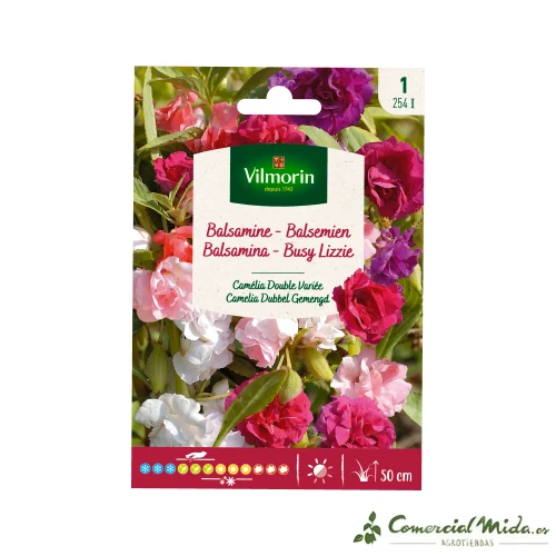 VILMORIN Semillas Balsamina Camelia Doble Variada de Crecimiento Rápido
