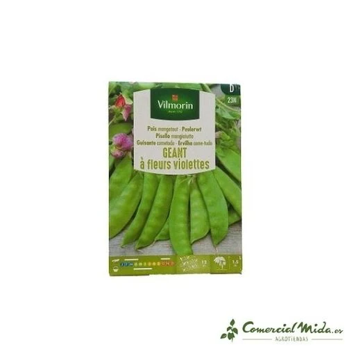 VILMORIN Semillas de Guisante Geant Cometodo con Flor Morada 125 gr Listas para Plantar