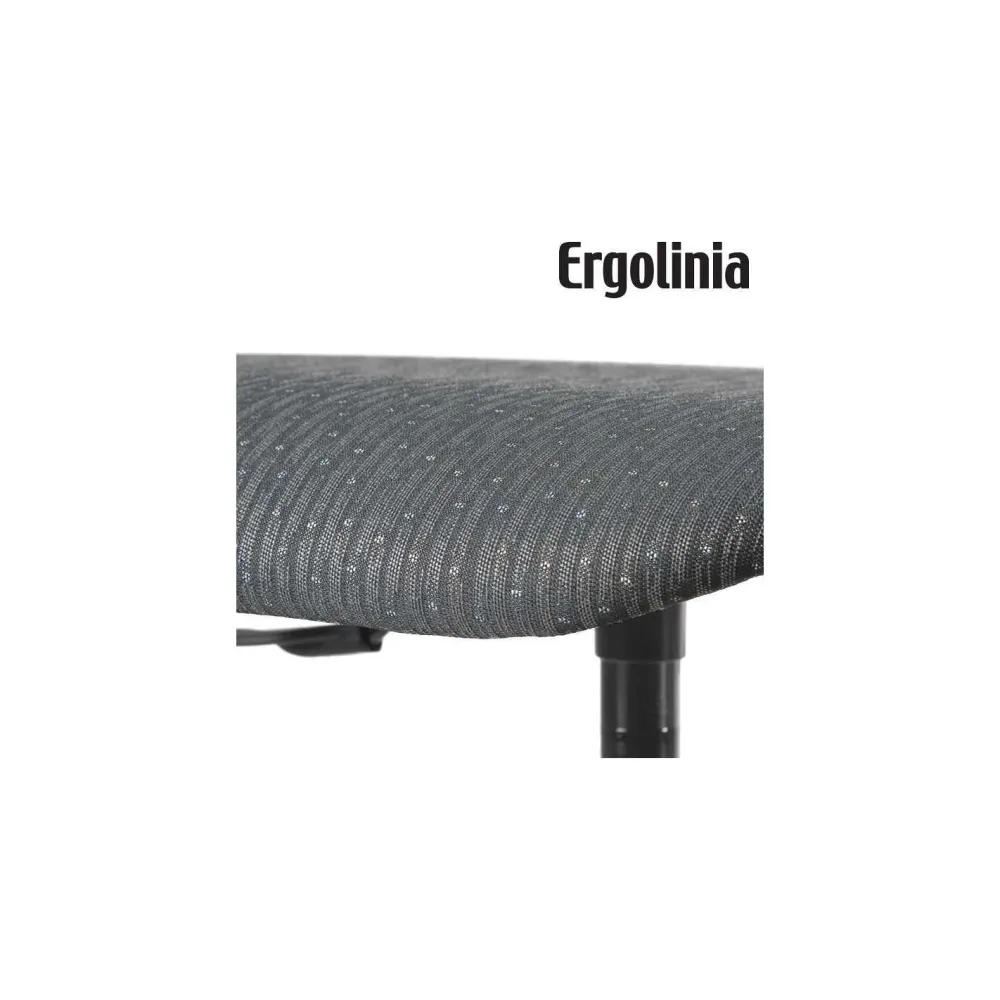 SILLA ERGOLINA EVO2 PROFI | Resistente al Sol y la Lluvia